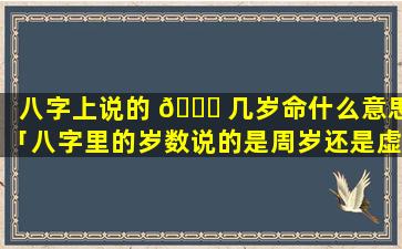 八字上说的 🐟 几岁命什么意思「八字里的岁数说的是周岁还是虚岁」